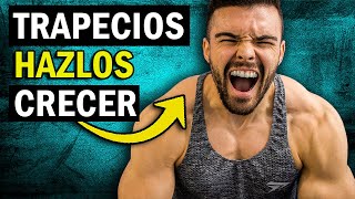 3 Mejores Ejercicios para Trapecios Grandes ¡RÁPIDO [upl. by Alcine]