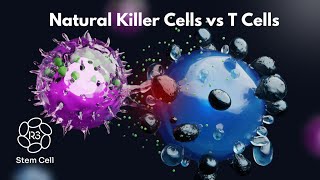 Natural Killer Cell vs T Cell  Whats the Difference [upl. by Tabby]