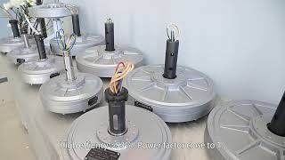 Low rpm vertical generator 500Watt 1kw 5kw 10kw vertical wind turbine pmg [upl. by Kenwrick]