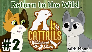 Excavier Adventures  Cattails  Wildwood Story With Moonkitti [upl. by Erdreid]