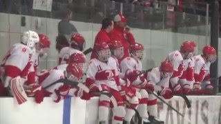 KDLT SPORTS RAW VIDEO3rd Period amp OT Of Luverne vs LitchfieldDasselCokato Section 3A Final [upl. by Ekim]