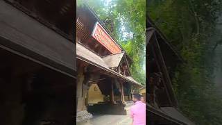 Mannarasala temple malayalam youtubeshorts [upl. by Peisch]