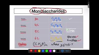 Monosaccharides and Disaccharides [upl. by Leonsis851]