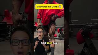 Músculos da Coxa 😱medicina medico academia treino musculação musculacao anatomia enfermagem [upl. by Sari]