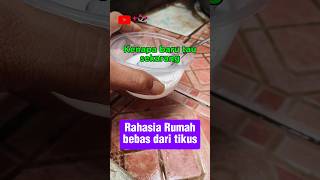 KreatifRahasia rumah benas dari tikus kreatif education information tips shorts [upl. by Hutner]