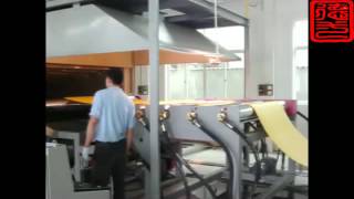 XPE machine crosslinked PE foam machine [upl. by Suhsoj749]