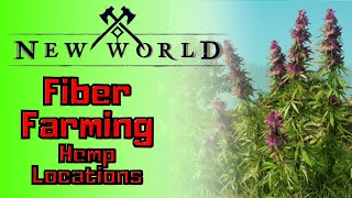 Amazon New World Fiber Hemp Farming [upl. by Garmaise]