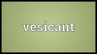 Vesicant Meaning [upl. by Eoj]