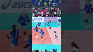 WHAT A PLAY BY ATENEO 💙 ateneo volleyball shakeyssuperleague haikyuu highlights [upl. by Airetak]