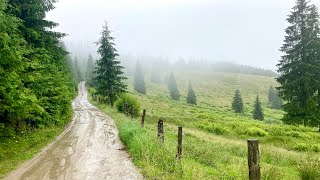 Day 4  Hiking Romania’s Via Transilvanica  Pasul Mestecanis [upl. by Cuttie]