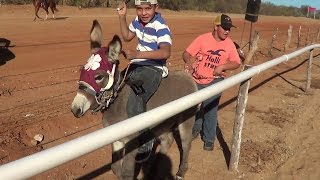 Carreras de Caballos en Matape 10 de Diciembre Noviembre 2016 [upl. by Luz]