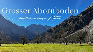 Großer Ahornboden im Karwendel ein Naturparadies 🍁🏔️ [upl. by Solohcin]