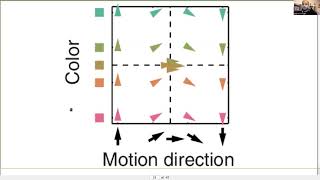 Talk Neural similarity in BOLD response and multiunit recordings [upl. by Adalbert]