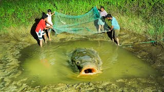 Catching Fish From Old Pond  കുളം വറ്റിച്ചു മീൻ പിടിക്കാം  M4 TECH [upl. by Lac]