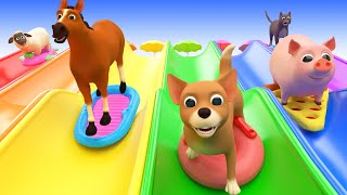 Animals for Kids and Toddlers SLIDDING INTO THE WATER Funny Animals Videos for Kids and Songs [upl. by Milburr]