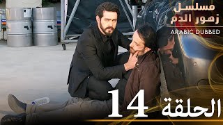 الحلقة 14  مسلسل زهور الدم  مدبلج بالعربية  Kan Çiçekleri [upl. by Airla54]