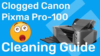 How to Clean a Severely Clogged Canon Print Head – Freehand Graphics™ [upl. by Llenol837]