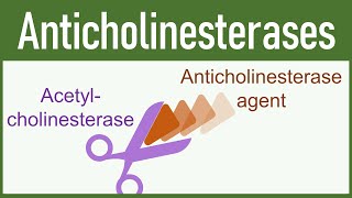 Anticholinesterase Agents Organophosphates amp Carbamates [upl. by Publius]