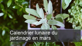 Calendrier lunaire du jardinage mars [upl. by Aisital26]