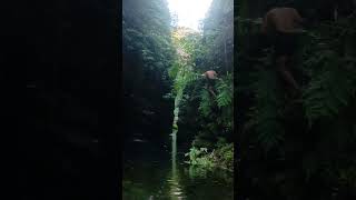 waterfall youtube landscape youtubeshorts travel shortpants fall shortshorts nature [upl. by Rubliw575]