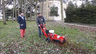 Essai Rogneuse de souche FSI Franskan B20 par Thomas FEQUANT et Xavier MARCHAND [upl. by Llerret539]