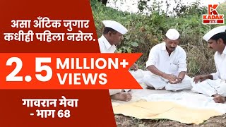 गावरान मेवा  भाग ६८  जुगार  Gavran Meva  Episode 68  Kadak Marathi [upl. by Betta]