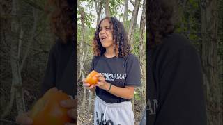 Tomate o manzana 🍎 🤣 humor comedia [upl. by Bravar]