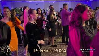 Denisa Tanigoi amp AVA Music  Mândrulița mea din Verendin  Revelion 2024 Confort Ballroom Deta [upl. by Lucienne]