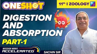 Digestion and Absorption Class 11 Biology One Shot Chapter 16  NEET 2023 Exam  Sachin Sir [upl. by Seuqcaj]