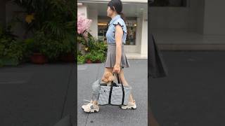 👜2024 Pet easy carry Bag shopify shorts pets cat dropshipping dropshippingagent ecommerce [upl. by Ayela]