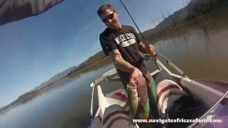 Bass Fishing  Theewaterskloof Dam Western Cape [upl. by Shirline]