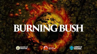 Burning Bush  Luca Terrana and Matteo Manicardi  Season of Creation [upl. by Eizle162]