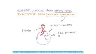 Scarlet fever and its management approach [upl. by Bena58]