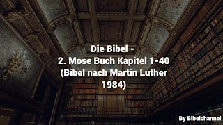 Die Bibel  2 Mose Buch Kapitel 140 Bibel nach Martin Luther 1984 [upl. by Ahseinod]