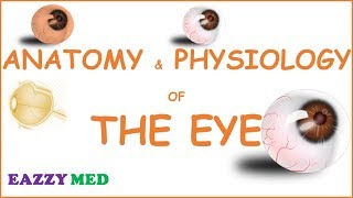 ANATOMY AND PHYSIOLOGY OF THE EYE [upl. by Emyle357]