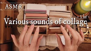 ASMR｜コラージュの色々な音Various sounds of collage｜sleepingRelaxing 睡眠作業BGM [upl. by Remle]