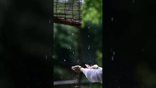 Barish ki dhun ytshortsvideo ytstudieo jubinnautiyal barish shorts [upl. by Bendix399]