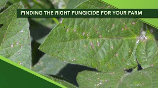 Ag PhD Show 1109 Multiple Modes of Action in Fungicides [upl. by Charla]