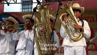 Banda de Viento estilo Sinaloa  El Sinaloense El Niño Perdido Novillo Despuntado y El Toro Palomo [upl. by Koziara529]