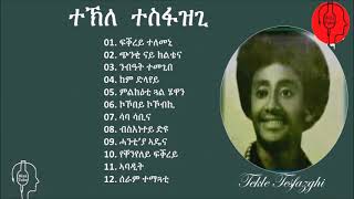 Tekle Tesfazghi music ተዘክሮታትካ ዝሕድስ ጥዑም ስርሓት ተኽለ ተስፍዝጊ [upl. by Ingunna421]