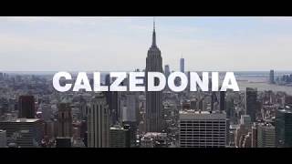 Calzedonia in New York  LegsAndTheCity [upl. by Yennep]