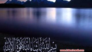 055 Surah AlRahman Full with Malayalam Translation [upl. by Nonac489]