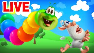 Booba  TOP Episodes Collection ⭐ LIVE 🔴 Kedoo Toons TV  Funny Animations for Kids [upl. by Kiah]