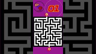 8 Second Maze 14 [upl. by Silloc589]