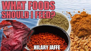 WHAT FOODS should I FEED my Saltwater Fish Tank Marine Fish Food Pellets Frozen  Hilary Jaffe [upl. by Eiramannod]