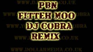 Fitteh Moo  PBN  Dj Cobra Remix [upl. by Arliene917]