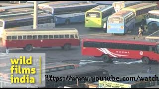 Majestic Bus Station  busiest terminus in Bangalore [upl. by Enialem534]