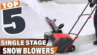 Winter MustHave 5 Best Single Stage Snow Blowers [upl. by Nibas]