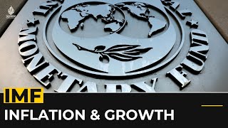 IMF forecasts continued high inflation in 2024 [upl. by Leigha]