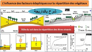 influence des facteurs édaphiques sur la répartition des végétaux TCSF شرح بالداريجة [upl. by Hsitirb]